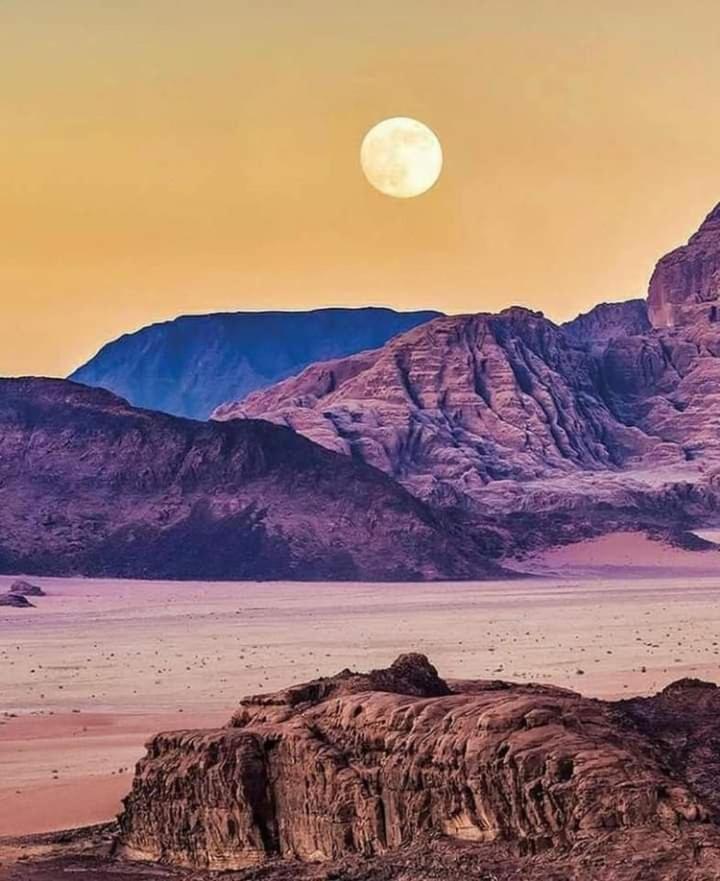 Mojo Camp, וואדי רם מראה חיצוני תמונה